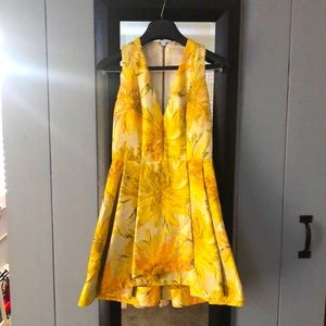 Alice + Olivia Floral Jaquard Dress